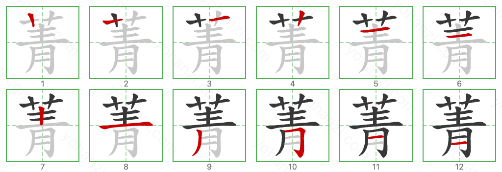 菁 Stroke Order Diagrams