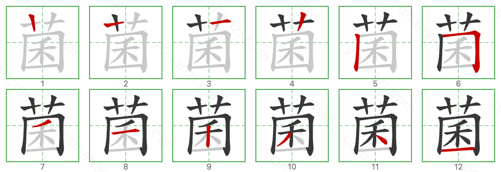 菌 Stroke Order Diagrams