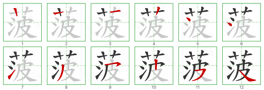 菠 Stroke Order Diagrams