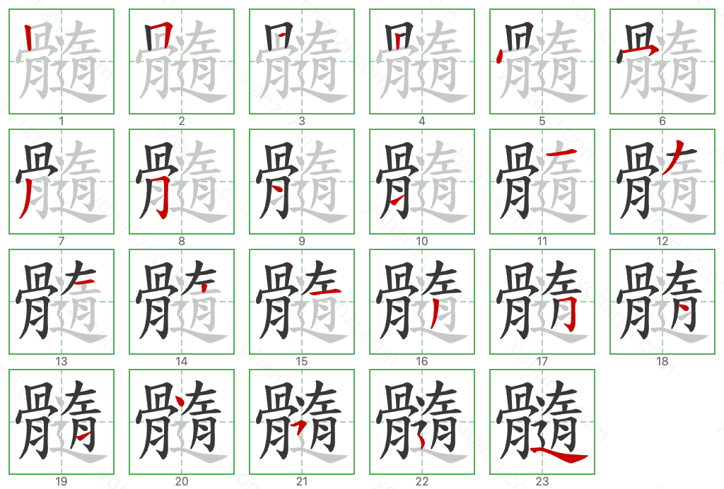 髓 Stroke Order Diagrams