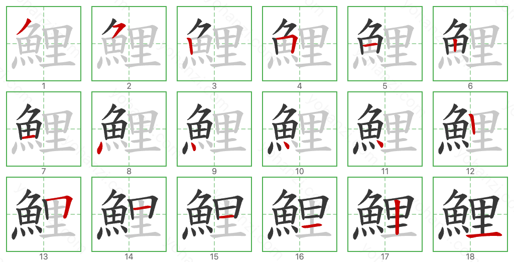 鯉 Stroke Order Diagrams