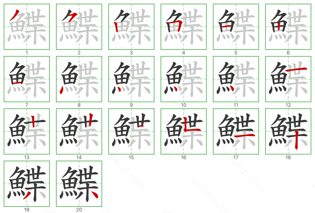 鰈 Stroke Order Diagrams