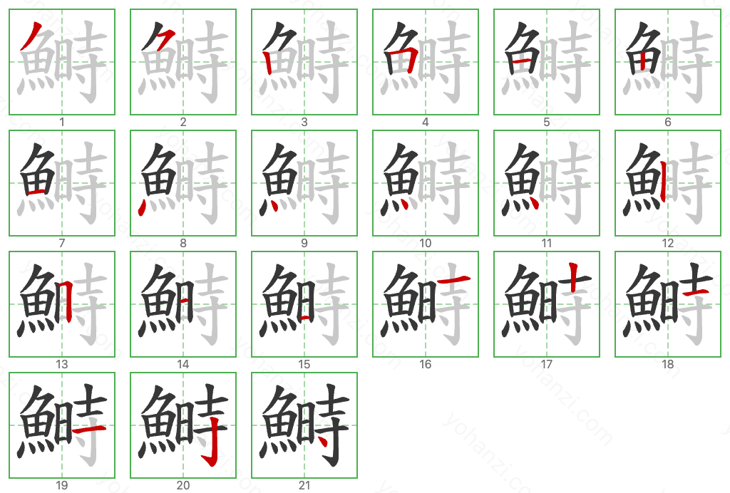 鰣 Stroke Order Diagrams