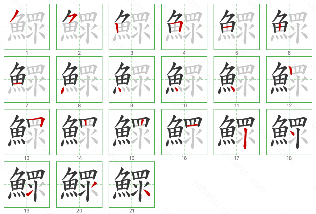 鰥 Stroke Order Diagrams