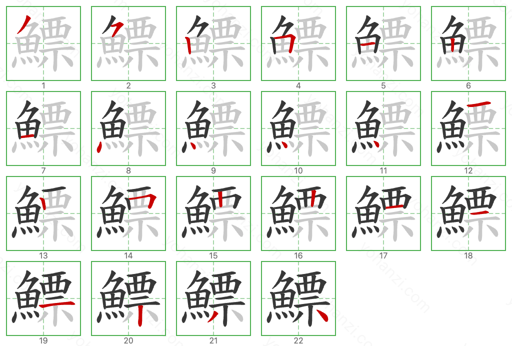 鰾 Stroke Order Diagrams