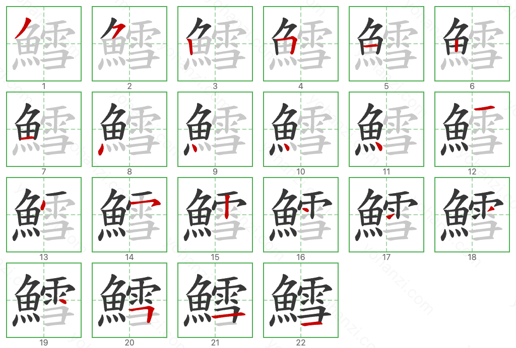 鱈 Stroke Order Diagrams