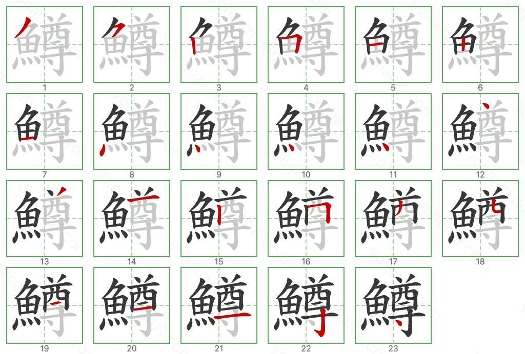 鱒 Stroke Order Diagrams