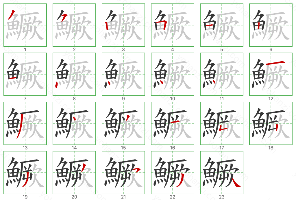 鱖 Stroke Order Diagrams