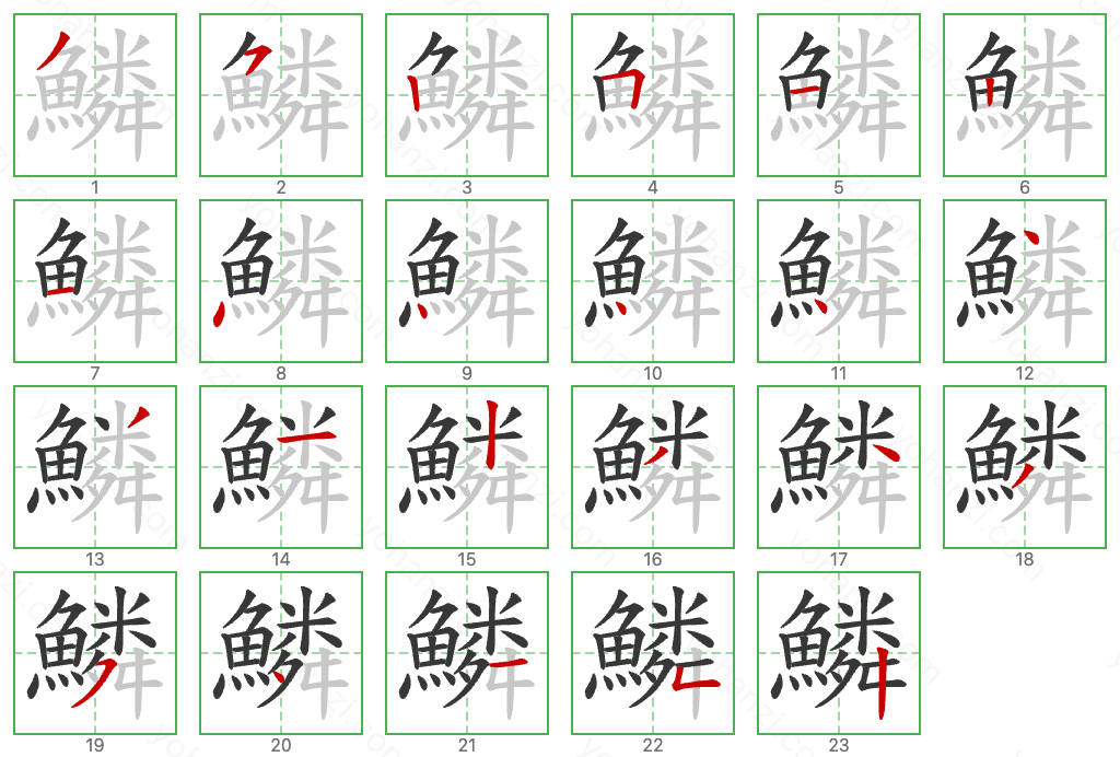 鱗 Stroke Order Diagrams