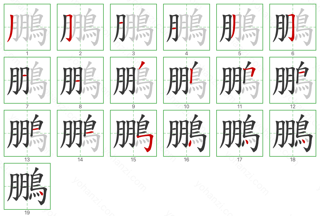 鵬 Stroke Order Diagrams