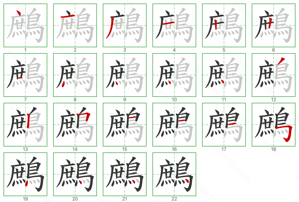 鷓 Stroke Order Diagrams